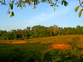 โป่งชมรมเพื่อน อุทยานแห่งชาติเขาใหญ่ อ.ปากช่อง จ.นครราชสีมา